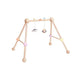 Plantoys baby gim - BC Premium Business Group d.o.o
